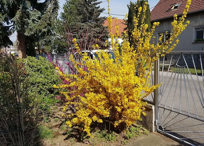 Garden Apartment Donau-City