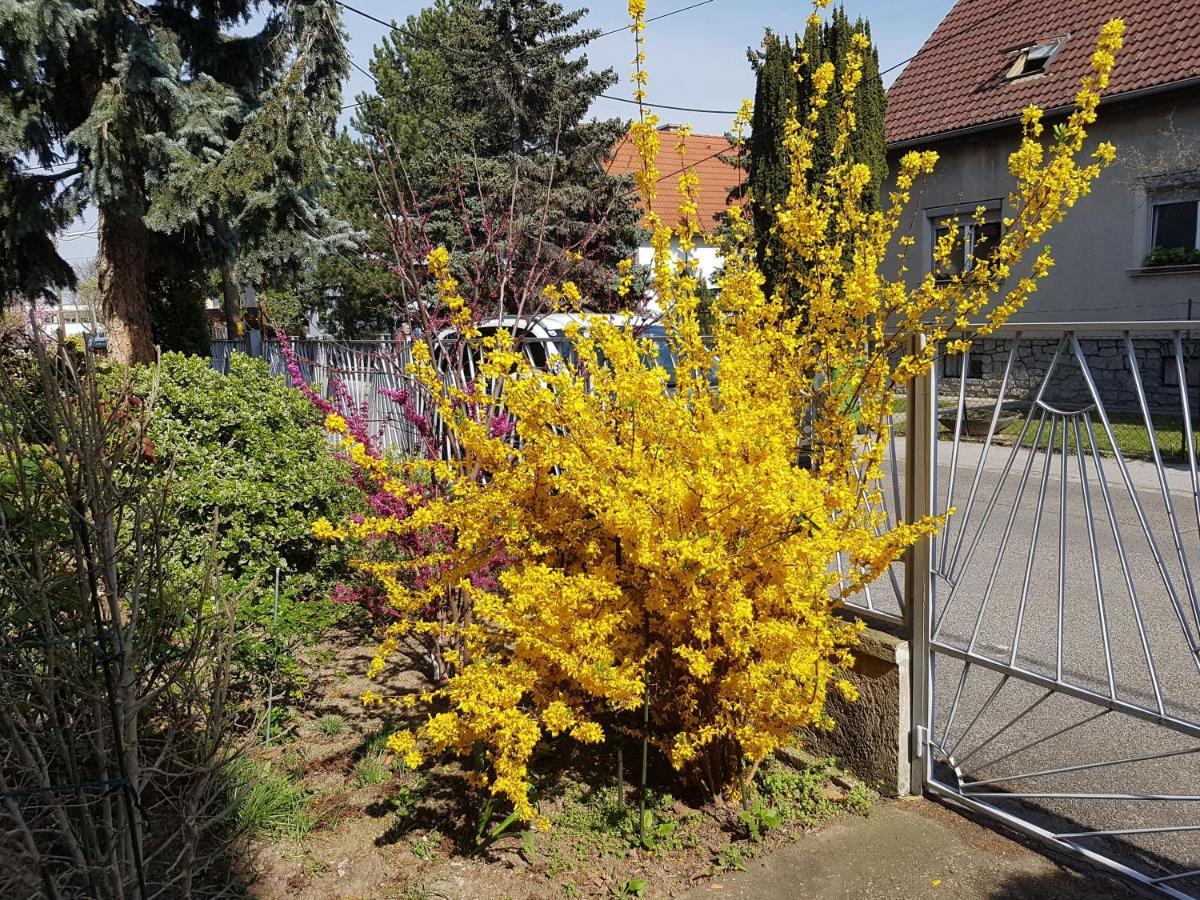 Garden Donau-city Apartment Vienna
